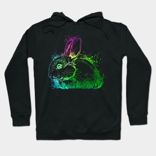 Colorful rabbit Hoodie